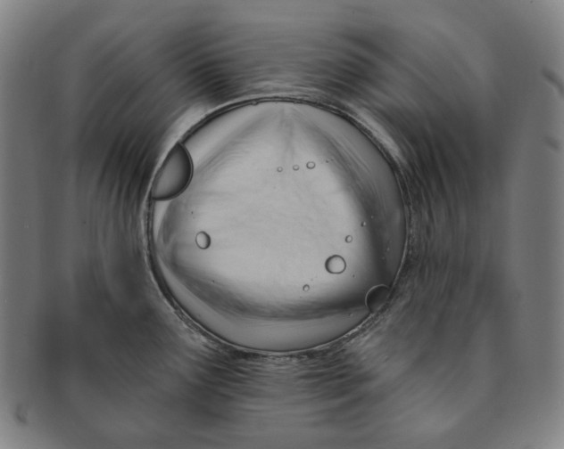 X0000090971291200708301217