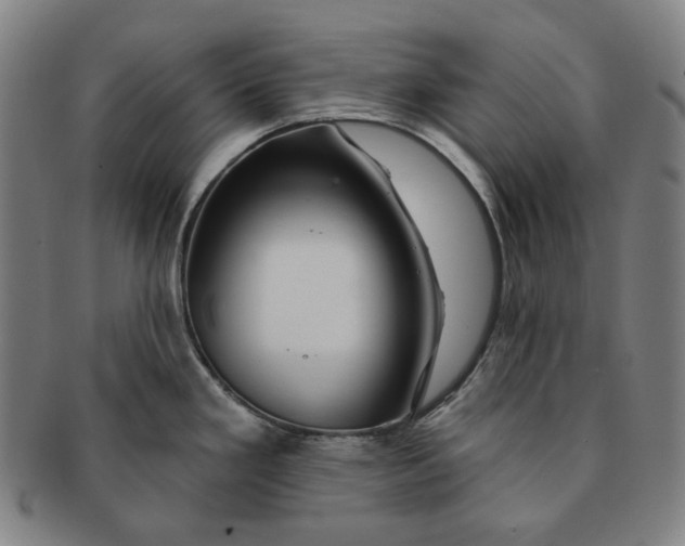 X0000090971293200708301217