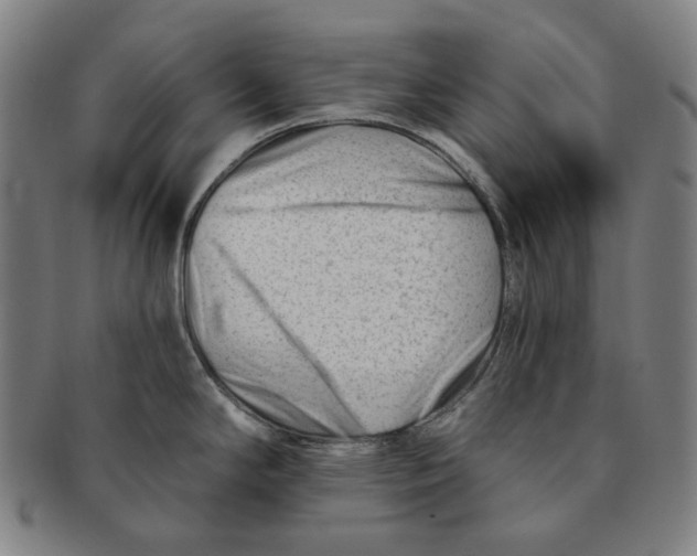 X0000090971294200708301217