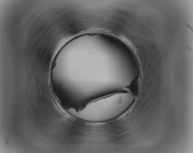 X0000090971296200708301217