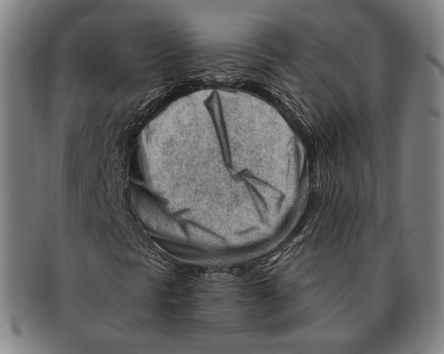 X0000090971297200708301217