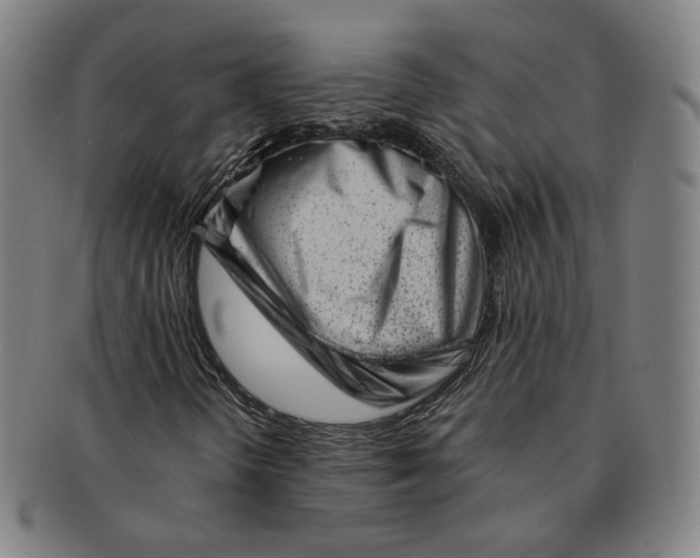 X0000090971298200708301217