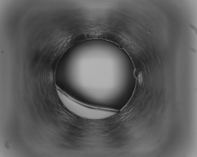 X0000090971299200708301217