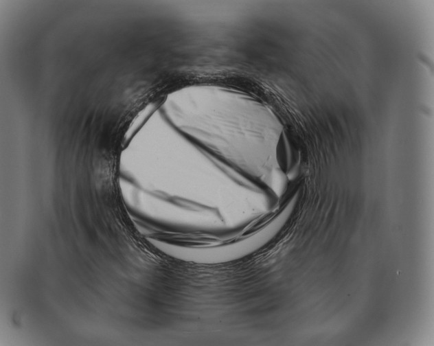 X0000090971300200708301217