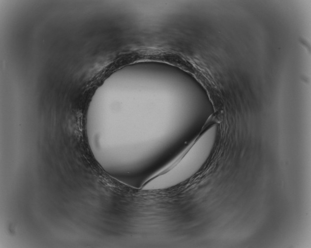 X0000090971301200708301217