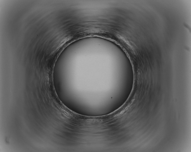 X0000090971305200708301217