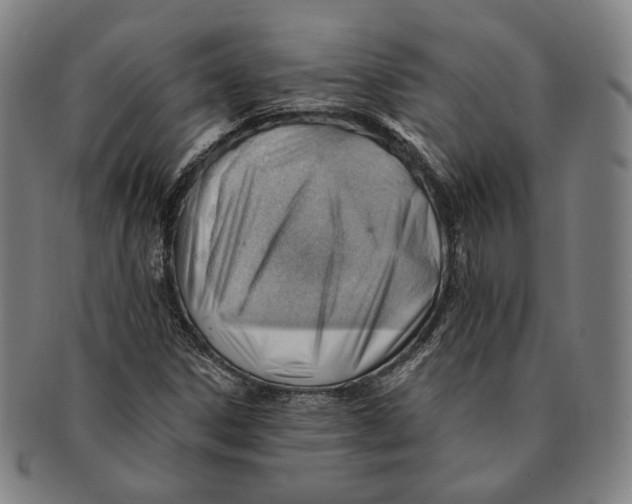 X0000090971306200708301217