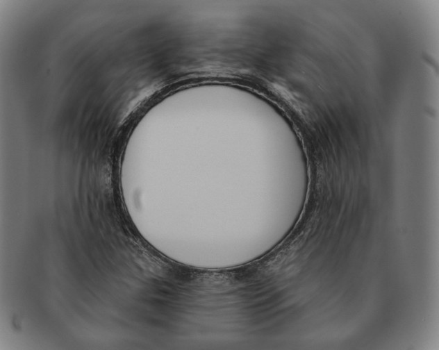 X0000090971307200708301217