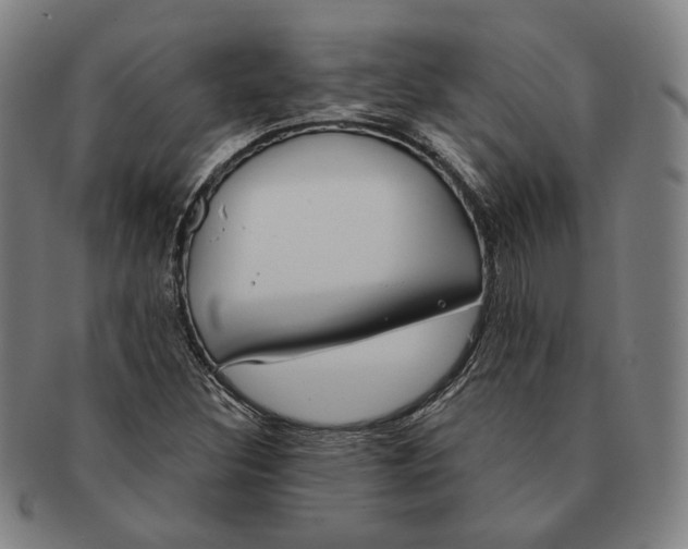 X0000090971308200708301217