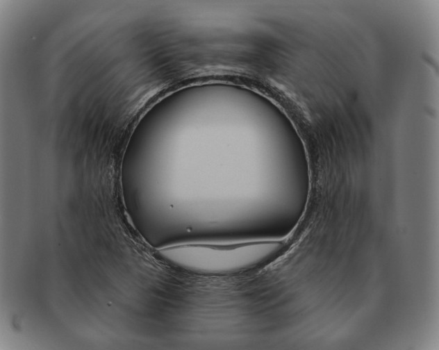 X0000090971313200708301217