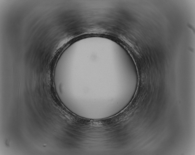 X0000090971315200708301217