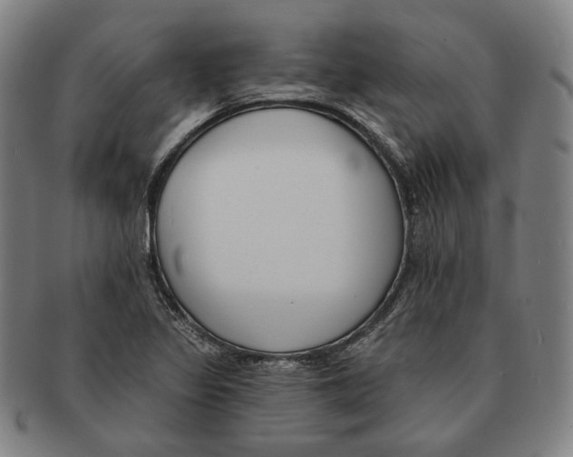 X0000090971317200708301217