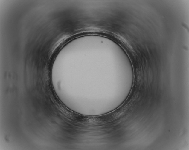 X0000090971318200708301217