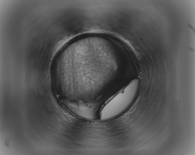 X0000090971319200708301217