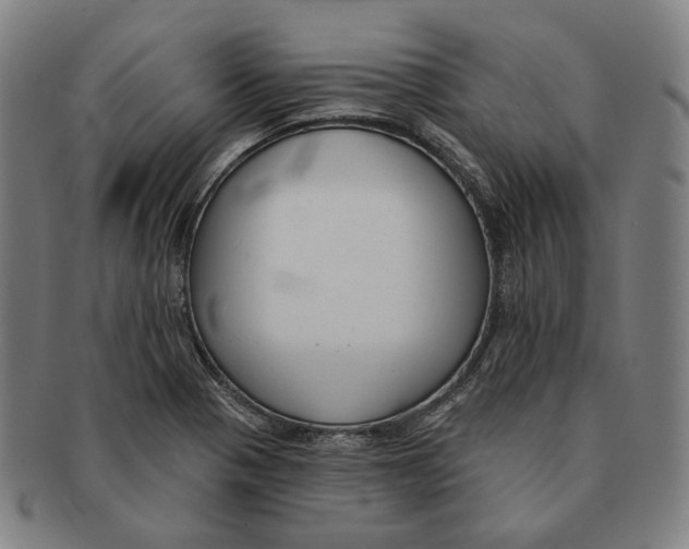 X0000090971321200708301217