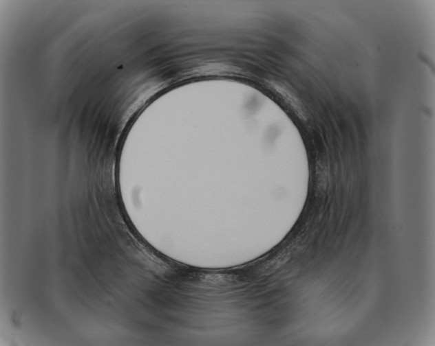 X0000090971322200708301217