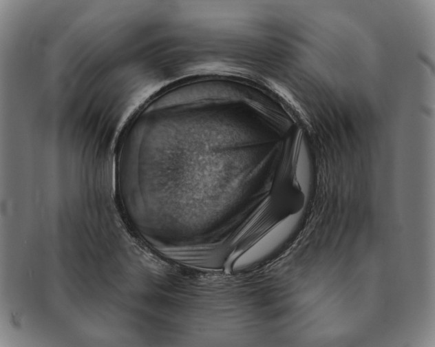 X0000090971323200708301217