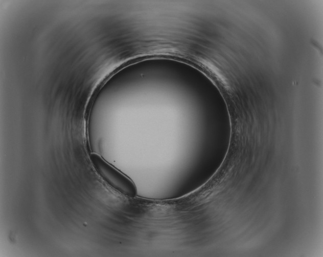 X0000090971324200708301217