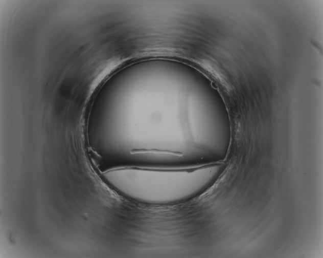 X0000090971325200708301217