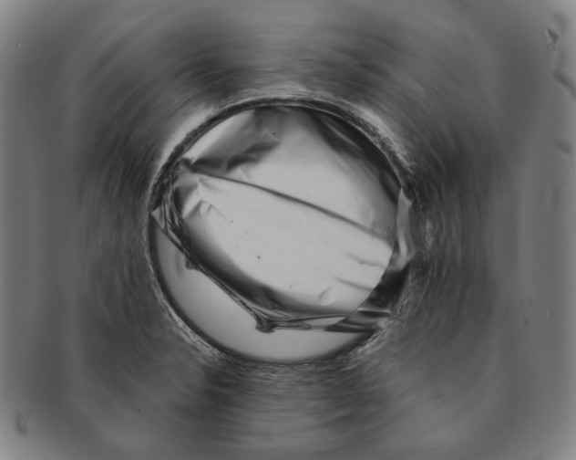 X0000090971326200708301217