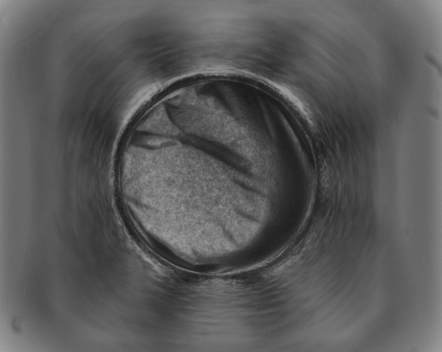 X0000090971327200708301217