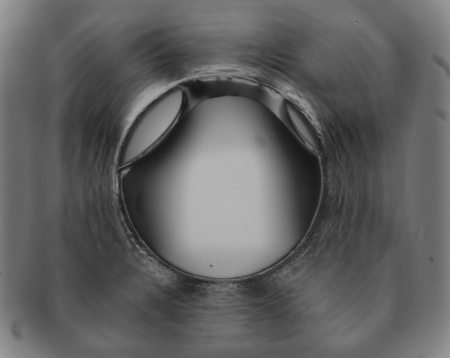 X0000090971328200708301217