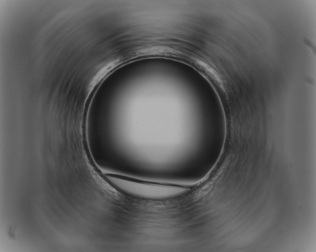 X0000090971330200708301217