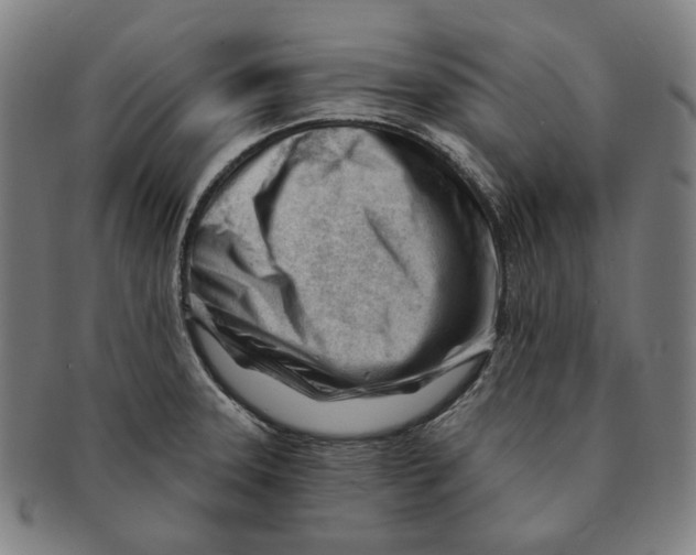 X0000090971331200708301217