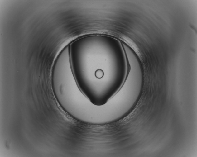 X0000090971332200708301217