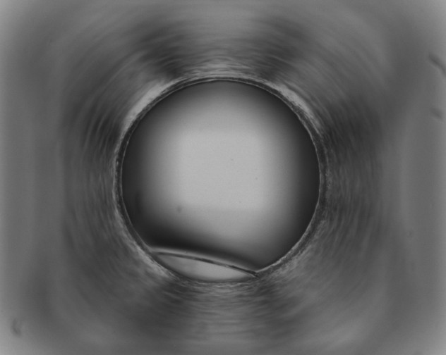 X0000090971333200708301217