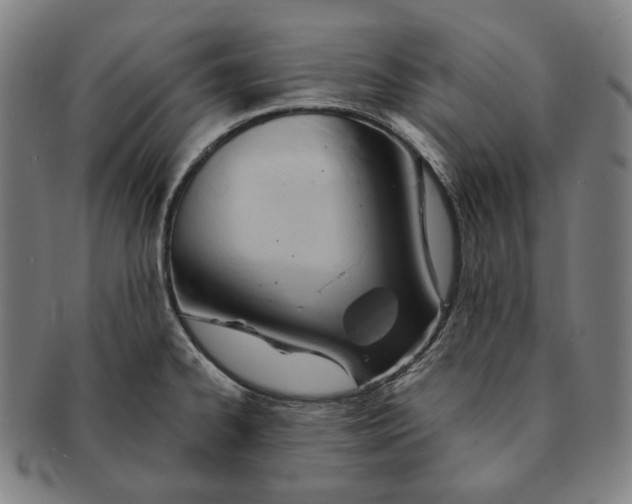 X0000090971334200708301217