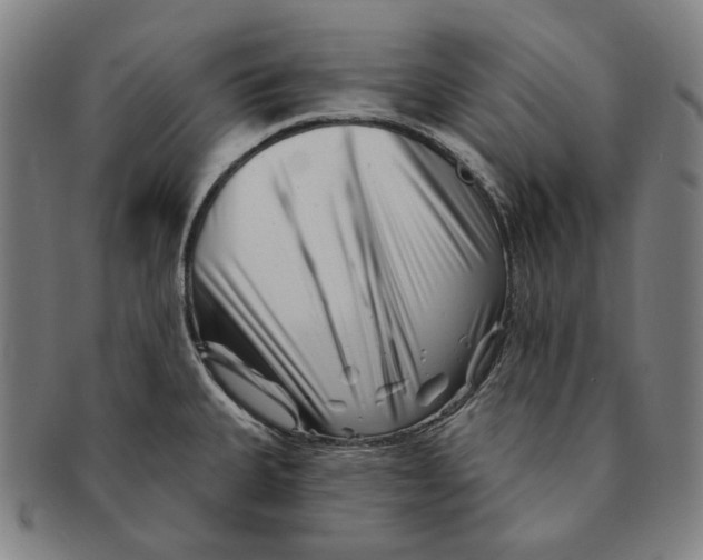 X0000090971335200708301217