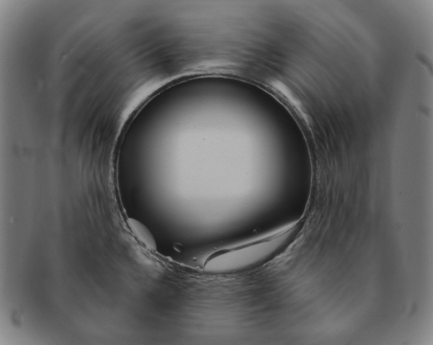 X0000090971336200708301217