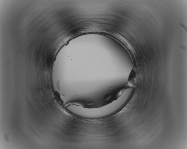 X0000090971337200708301217