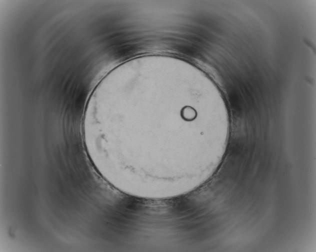 X0000090971338200708301217