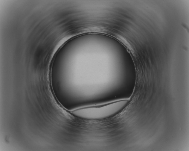 X0000090971339200708301217