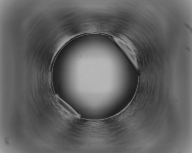 X0000090971340200708301217