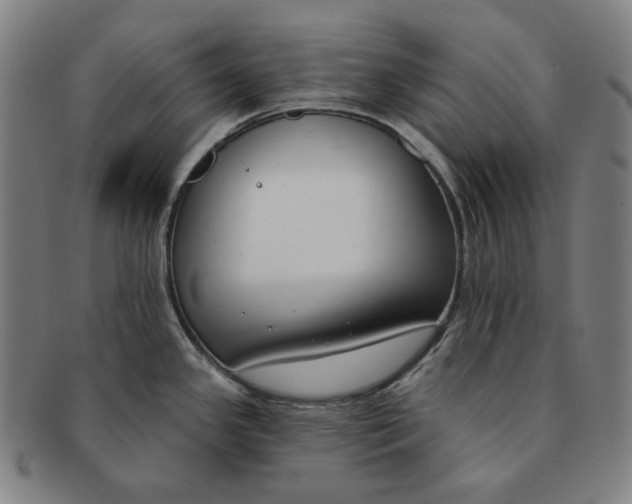 X0000090971341200708301217