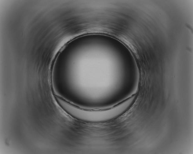 X0000090971342200708301217