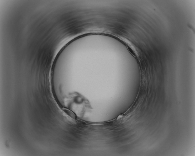 X0000090971343200708301217