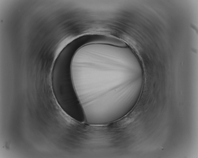 X0000090971344200708301217