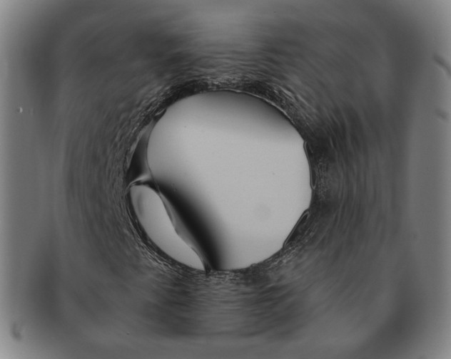 X0000090971345200708301217