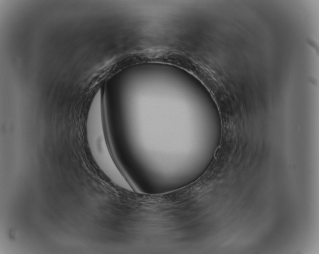 X0000090971349200708301217