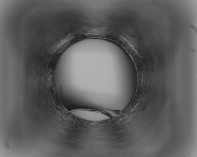 X0000090971350200708301217