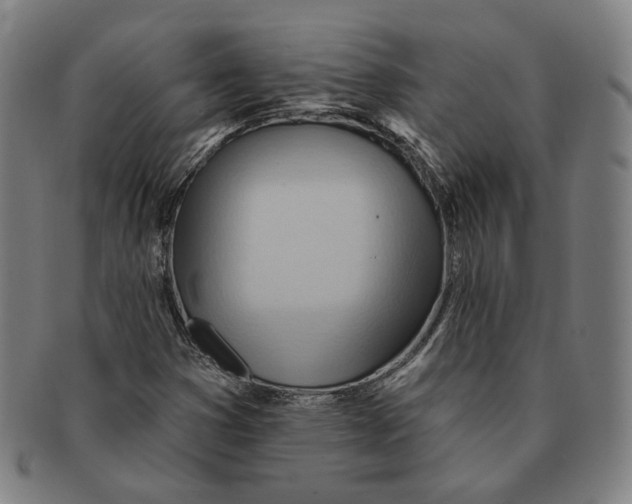 X0000090971353200708301217