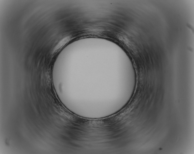 X0000090971354200708301217