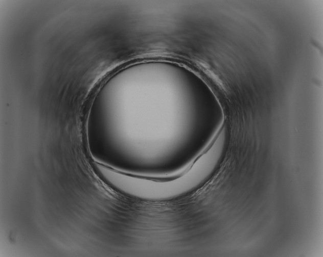 X0000090971356200708301216