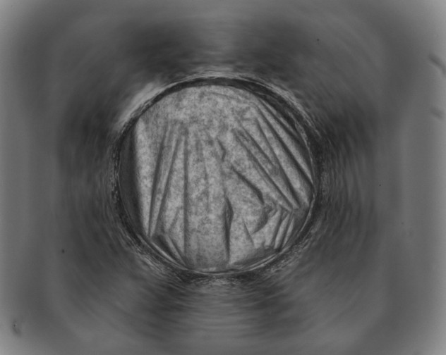 X0000090971359200708301216