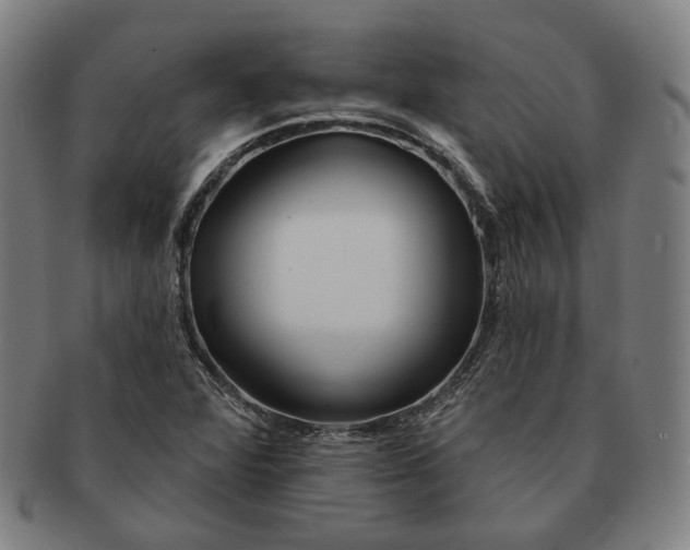 X0000090971360200708301216