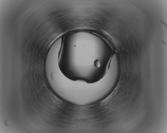 X0000090971361200708301216